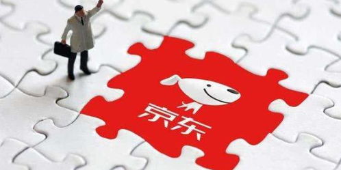 京東國際 發(fā)揮平臺(tái)優(yōu)勢(shì) 穩(wěn)外貿(mào)促進(jìn)口 助推商品零售貿(mào)易高質(zhì)量發(fā)展